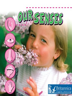 cover image of Our Senses